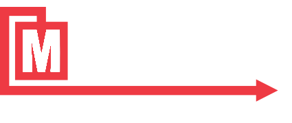 Metalogic Inspection Services